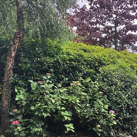 Rhubarb Cottage エニスキリン エクステリア 写真