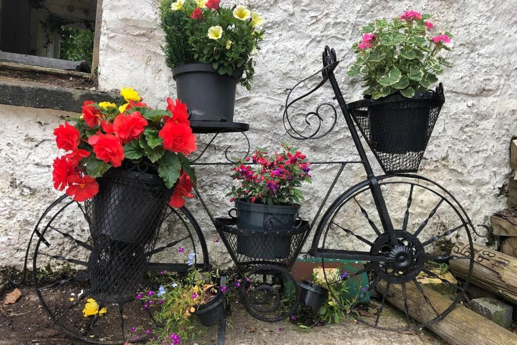 Rhubarb Cottage エニスキリン エクステリア 写真
