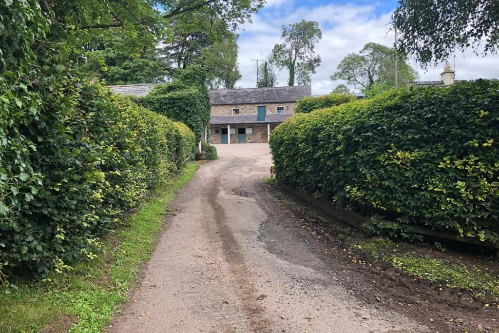 Rhubarb Cottage エニスキリン エクステリア 写真